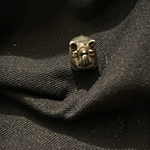 Retired Pandora Rhino 🦏 - Picture 4 of 5